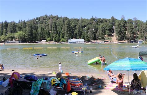 Can You Swim in Lake Gregory: Exploring the Depths of Possibility and Beyond