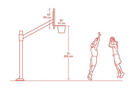 How Tall Should a Basketball Hoop Be: A Journey Through Dimensions and Dreams