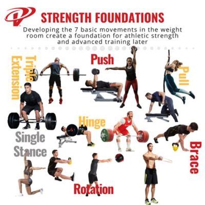 What is Power Physical Education: A Journey Through the Multifaceted World of Strength and Movement